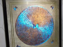 -上海昆虫博物馆