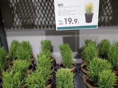 -鹿岛会员店 (龙湖三千集天街店)