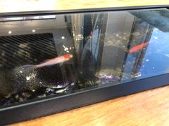 -红糖水都·女生特炖·中式滋补炖(北辰店)