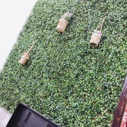 -红人馆造型十添