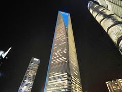 -上海柏悦酒店