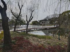 -新江湾城公园