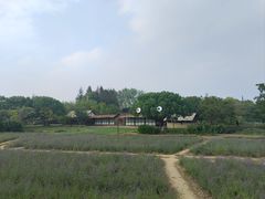 -乌村