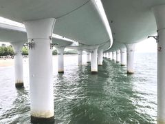 -演武大桥观景平台