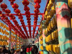 -杨家埠民间艺术大观园