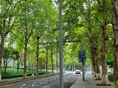 -龙头寺公园