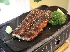 -千寻本居