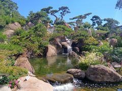 -罗红摄影艺术馆