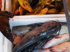 -江湖水乡铁锅炖魚(周庄嘉园店)