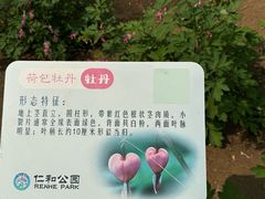 -仁和公园(顺义区)