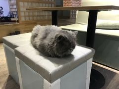 -小时光咖啡馆(开森度假森林店)