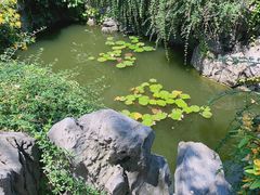 -何园