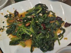 -纯肴大东北(新城北街店)