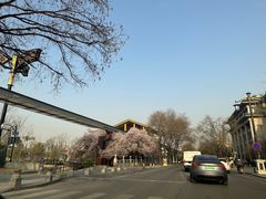 -陕西自然博物馆