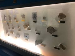 -上海昆虫博物馆