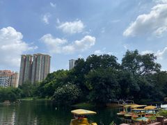 -晓港公园