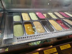-莓园冰淇淋店