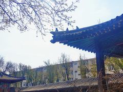 -桃花堤公园