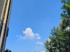 -延边烧烤铁锅炖(万科店)