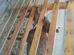 android_upload_pic-赛汗塔拉风情园