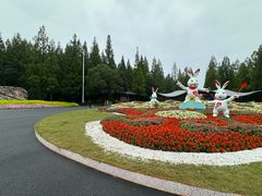-东平国家森林公园