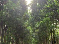 -南宁南湖公园