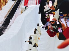 -广州热雪奇迹