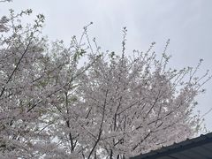 -两户人家农家乐