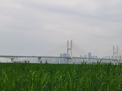 -毛氏汽水包(山海关路店)