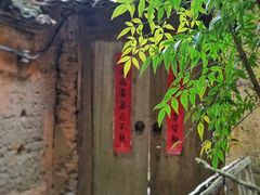 -杨家堂村