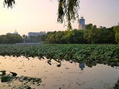 -长春市南湖公园