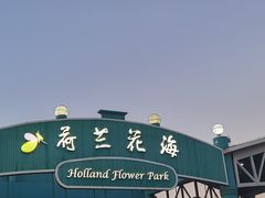 -荷兰花海