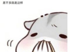 -糕小爱·动物奶油生日蛋糕定制(江阴店)