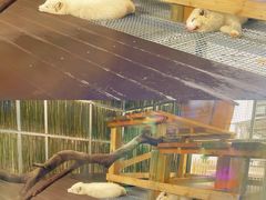-常州淹城野生动物世界