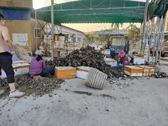 -蠔园山庄(礼乐食街店)