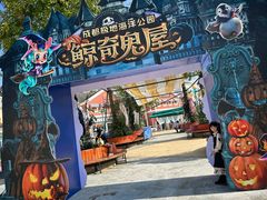 -海合安成都极地海洋公园