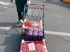 -西郊国际农产品交易中心