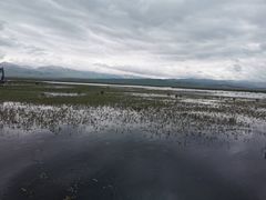 -花湖生态旅游区