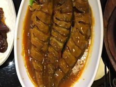 -英子补身汤(海兰路店)