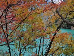 -叠溪松坪沟景区