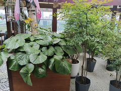 -时光乌托邦空中花园·川味·礼宴(星汇两江店)
