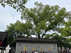 -绍兴鲁迅故里·沈园景区