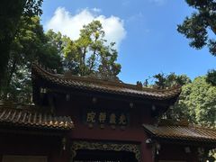 -凤栖山