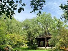-棠湖公园