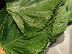 -金龙烧烤·牛肉面(西塔店)