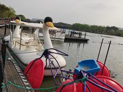 -长田漾湿地公园