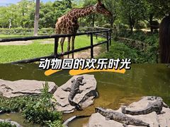 -南昌动物园