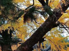 -无锡惠山寺