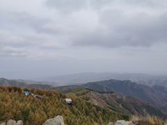 -苏木山森林公园