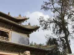 -张掖大佛寺景区